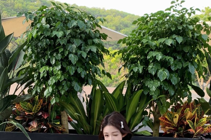 Spaghetti Strap Floral Print Shirred Mini A-Line Dress