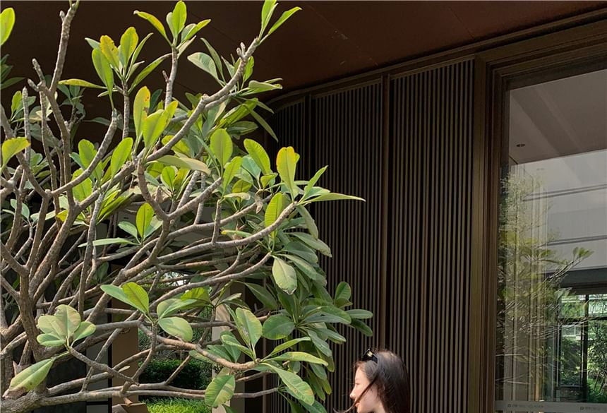 Short-Sleeve Mock Neck Plain Crop Slim Fit Tee / Mid Waist Maxi A-Line Skirt