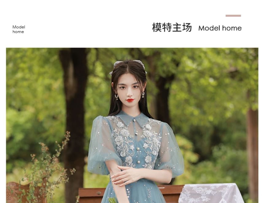 Puff-Sleeve Collar Flower Embroidered Sequin A-Line Evening Gown