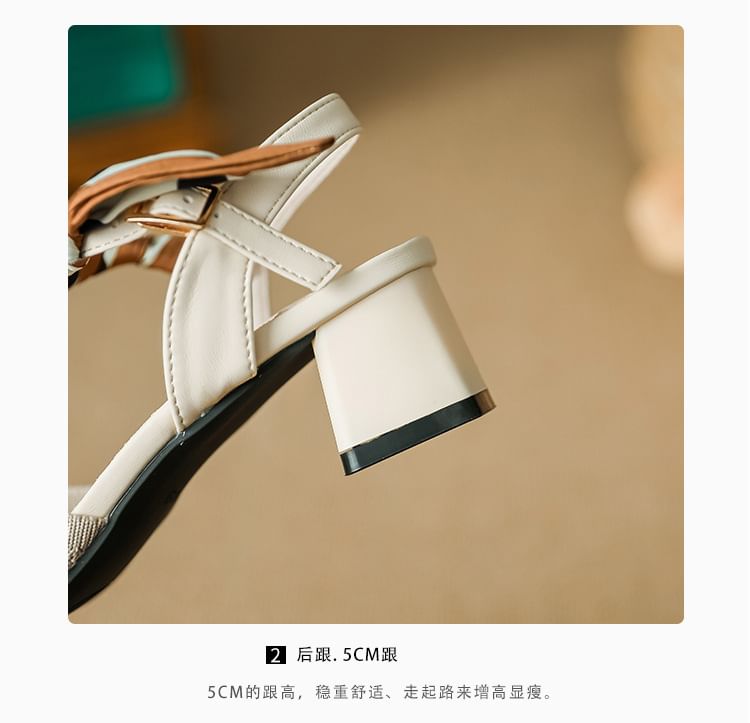 Pointed Chunky Heel Sandals