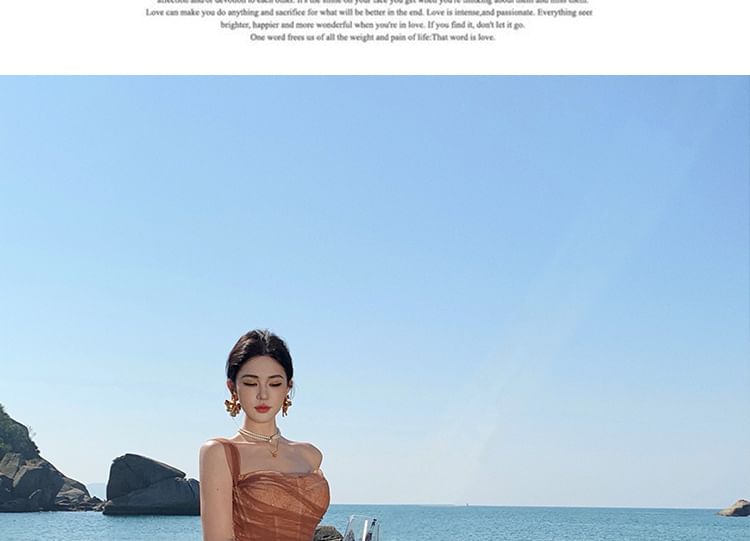 Sleeveless One Shoulder Plain Ruched Slit Lace Panel Mesh Sheath Evening Gown