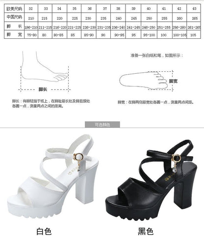 Strappy Platform Chunky Heel Sandals