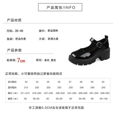 Platform Chunky Heel Mary Jane Pumps