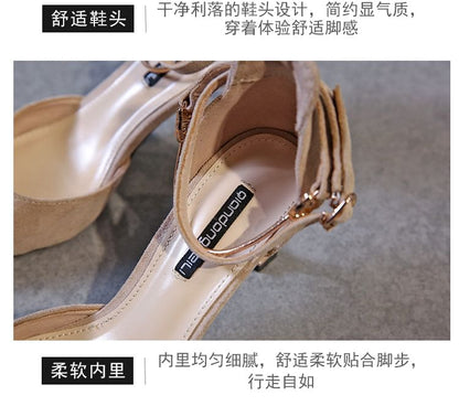 Ankle Strap Pointed High Heel Sandals (Various Designs)