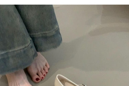 Mary Pointed Shoes Jane Toe