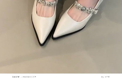 Mary Pointed Shoes Jane Toe