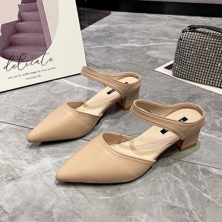 Pointed Toe Chunky Heel Mules