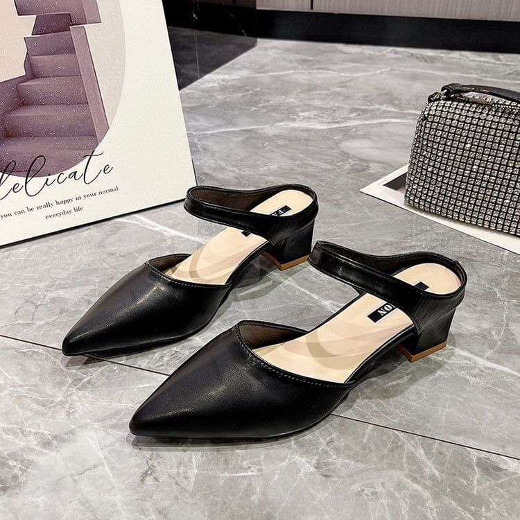 Pointed Toe Chunky Heel Mules