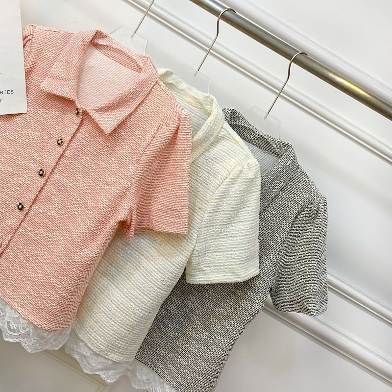 Collared Lace Panel Short-Sleeve Tweed Blouse