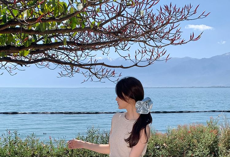 Crew Sleeveless Neck Plain Top Ribbed Knit