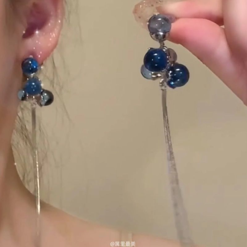 Beaded Fringe Earring Drop