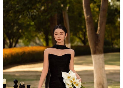 Plain Mesh Sheath Tube Evening Gown