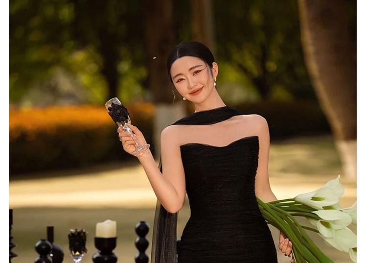 Plain Mesh Sheath Tube Evening Gown