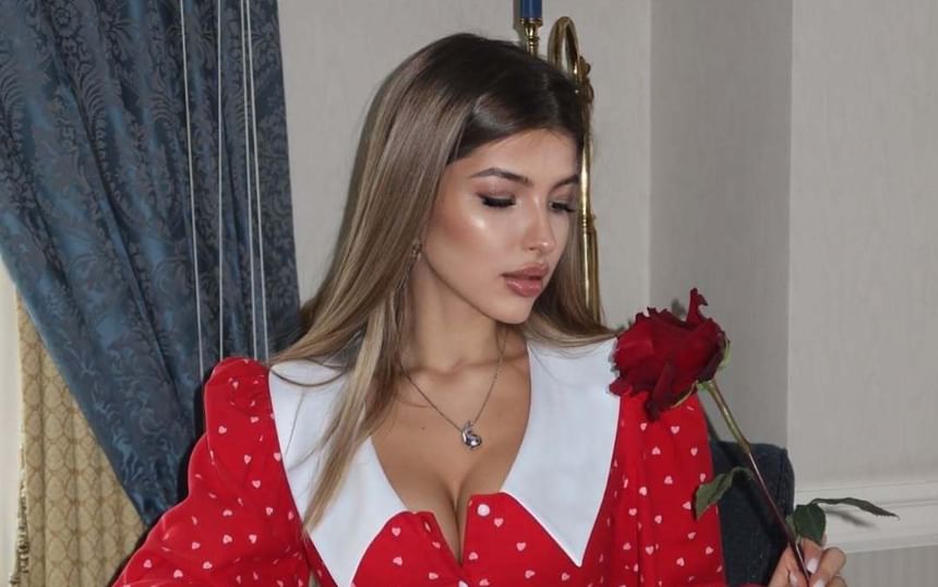 Dress A-Line Mini Ruffle Long-Sleeve Hem Contrast Collar Button-Up