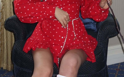 Dress A-Line Mini Ruffle Long-Sleeve Hem Contrast Collar Button-Up