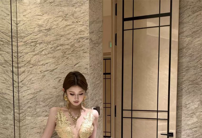 Sleeveless Plunge Lace Panel Slit Sheath Evening Dress