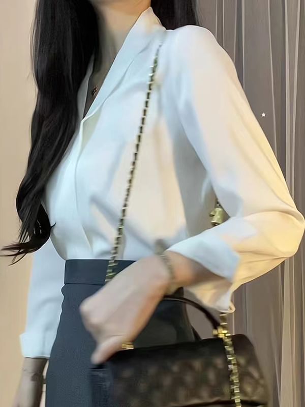 Plain V-Neck Long-Sleeved Blouse