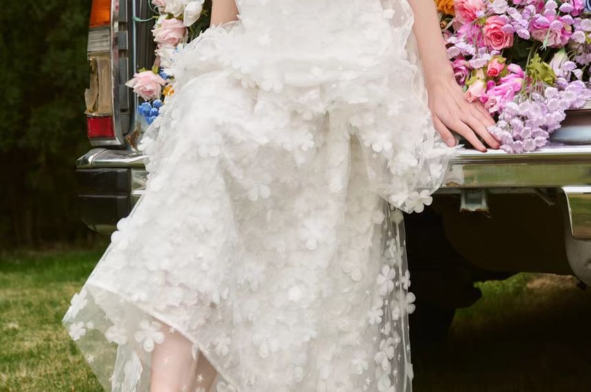 Gown Sheer A-Line Evening Sleeveless