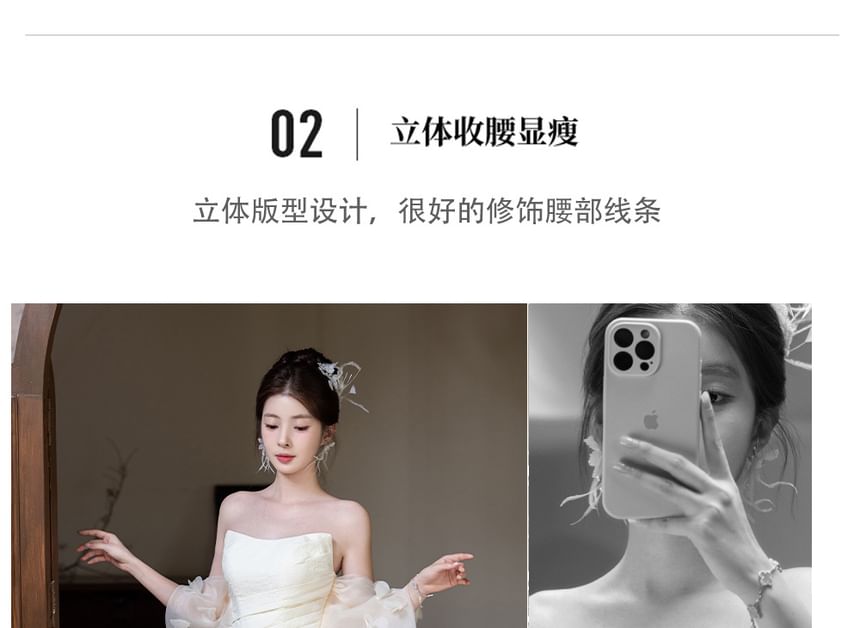 Overlay Strapless Evening Sheer Gown A-Line