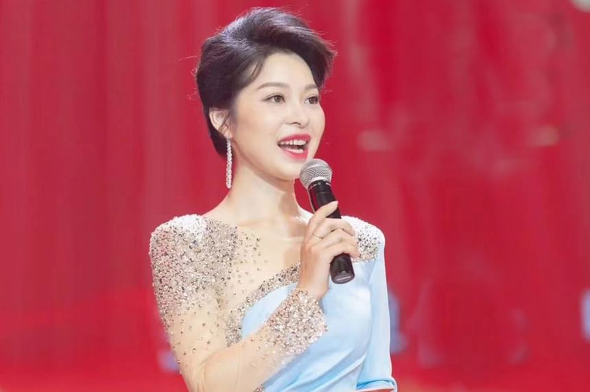 Sheer Long-Sleeve Rhinestone Gown A-Line Panel Evening