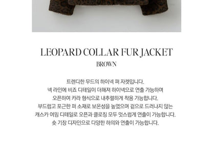 Leopard Eco-Fur Jacket (Brown)