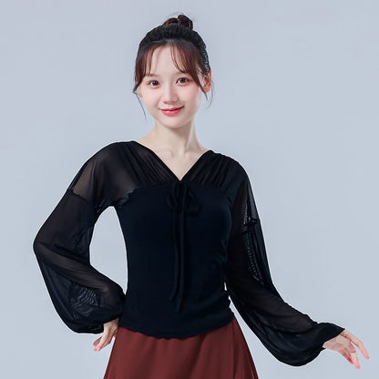 Mesh Cropped Tee with V-Neckline and Long Sleeves