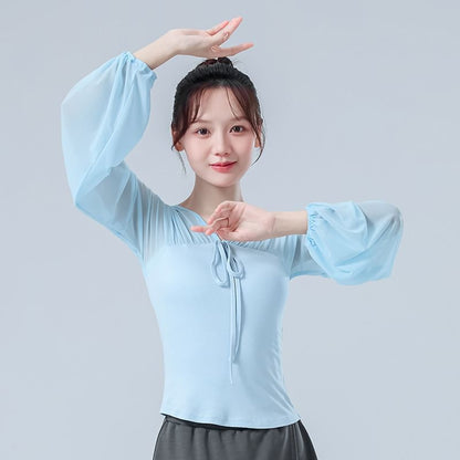 Mesh Cropped Tee with V-Neckline and Long Sleeves