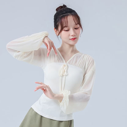 Mesh Cropped Tee with V-Neckline and Long Sleeves
