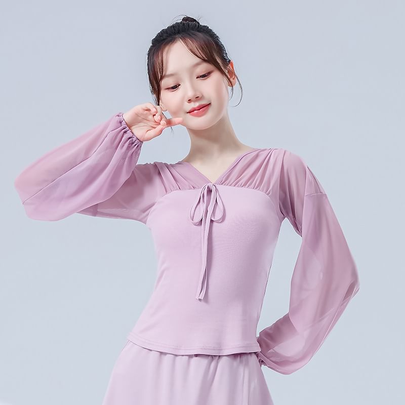 Mesh Cropped Tee with V-Neckline and Long Sleeves