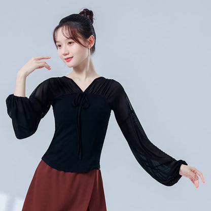 Mesh Cropped Tee with V-Neckline and Long Sleeves