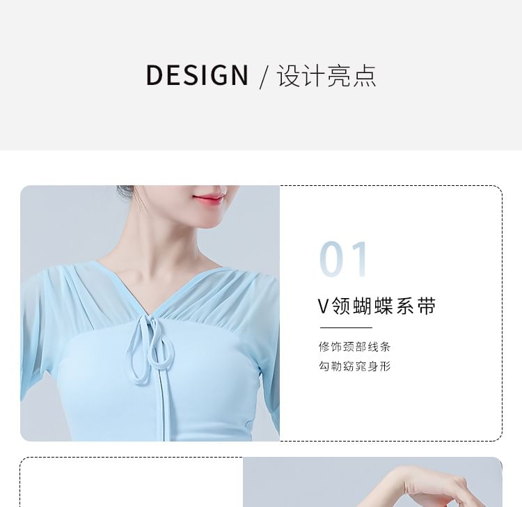 Mesh Cropped Tee with V-Neckline and Long Sleeves