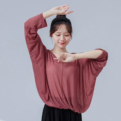 Solid Top with V-Shaped Neck and Long Sleeves