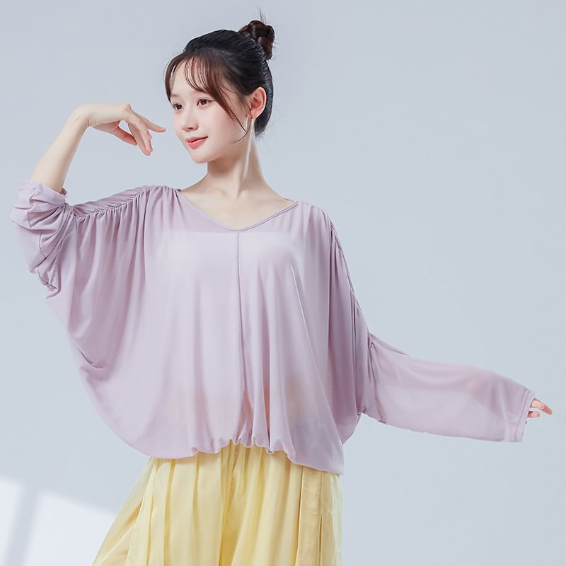 Solid Top with V-Shaped Neck and Long Sleeves