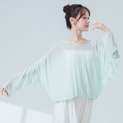 Solid Top with V-Shaped Neck and Long Sleeves