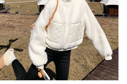 Stand Collar Plain Quilted Panel Zip Teddy Jacket