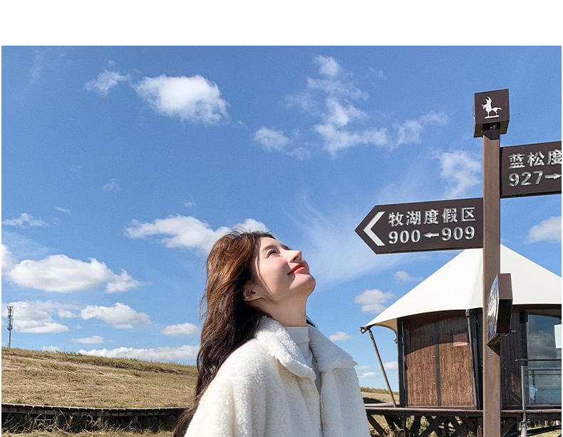 Stand Collar Plain Quilted Panel Zip Teddy Jacket