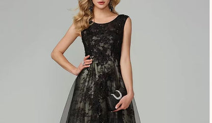Sleeveless Round Neck Lace Panel Mesh A-Line Evening Dress