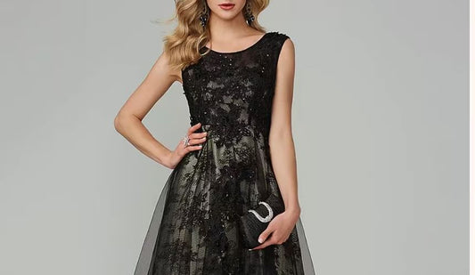 Sleeveless Round Neck Lace Panel Mesh A-Line Evening Dress