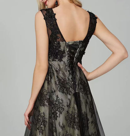 Sleeveless Round Neck Lace Panel Mesh A-Line Evening Dress