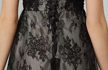 Sleeveless Round Neck Lace Panel Mesh A-Line Evening Dress