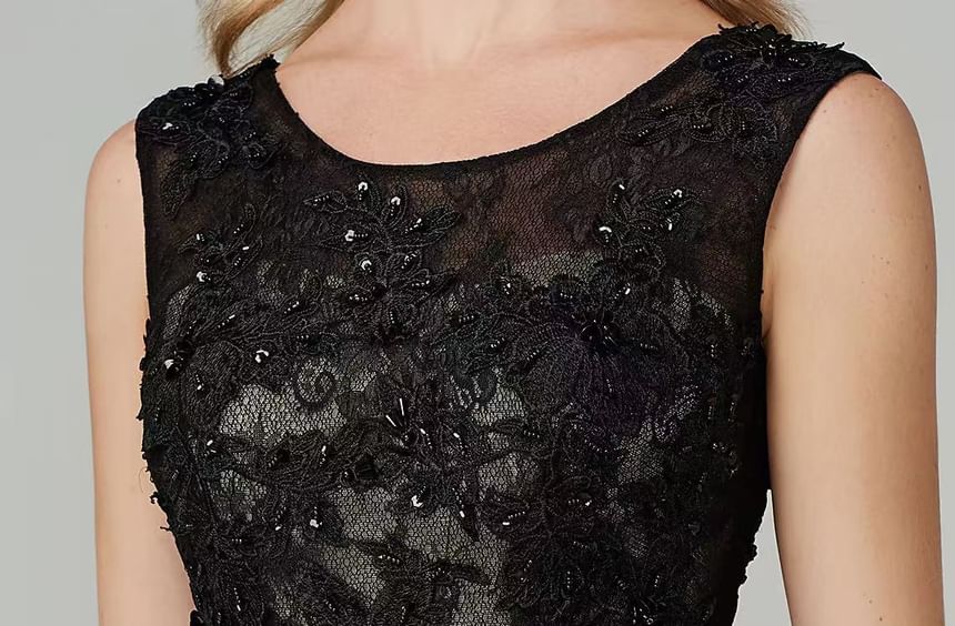 Sleeveless Round Neck Lace Panel Mesh A-Line Evening Dress