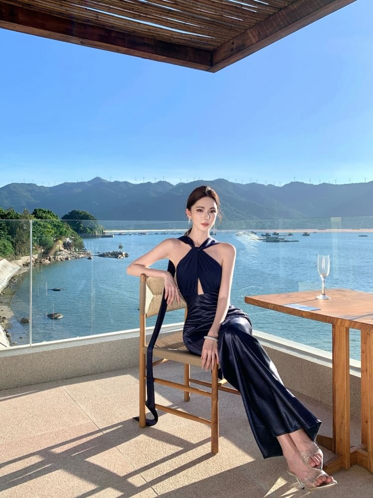 Halter Neck Plain Cutout Open Back Sheath Evening Gown