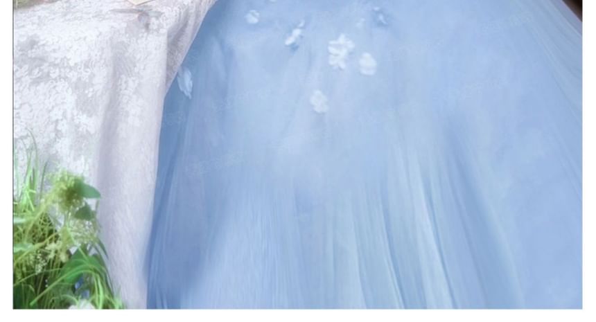 Plain Butterfly Detail A-Line Evening Gown