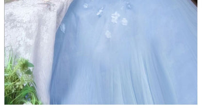 Plain Butterfly Detail A-Line Evening Gown