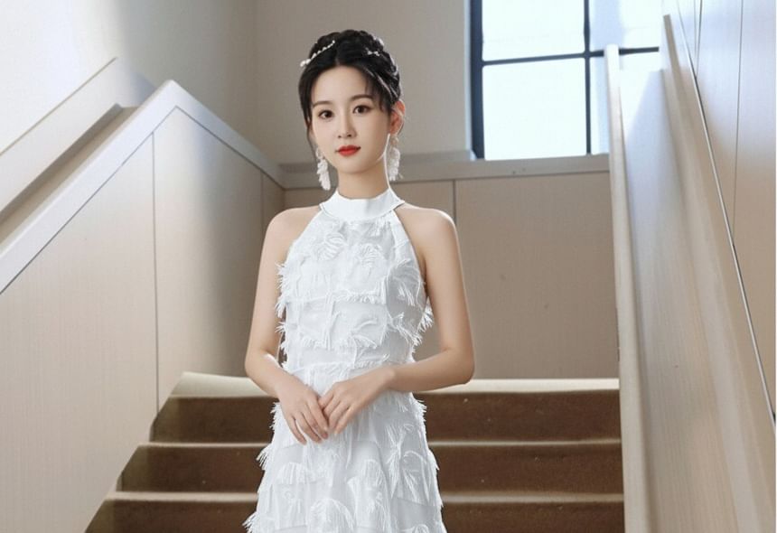 Sleeveless Mock Neck Plain Fringe A-Line Evening Dress