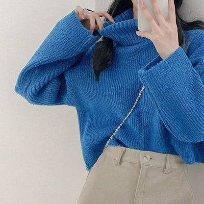 Ribbed Turtleneck Sweater in Solid Tone