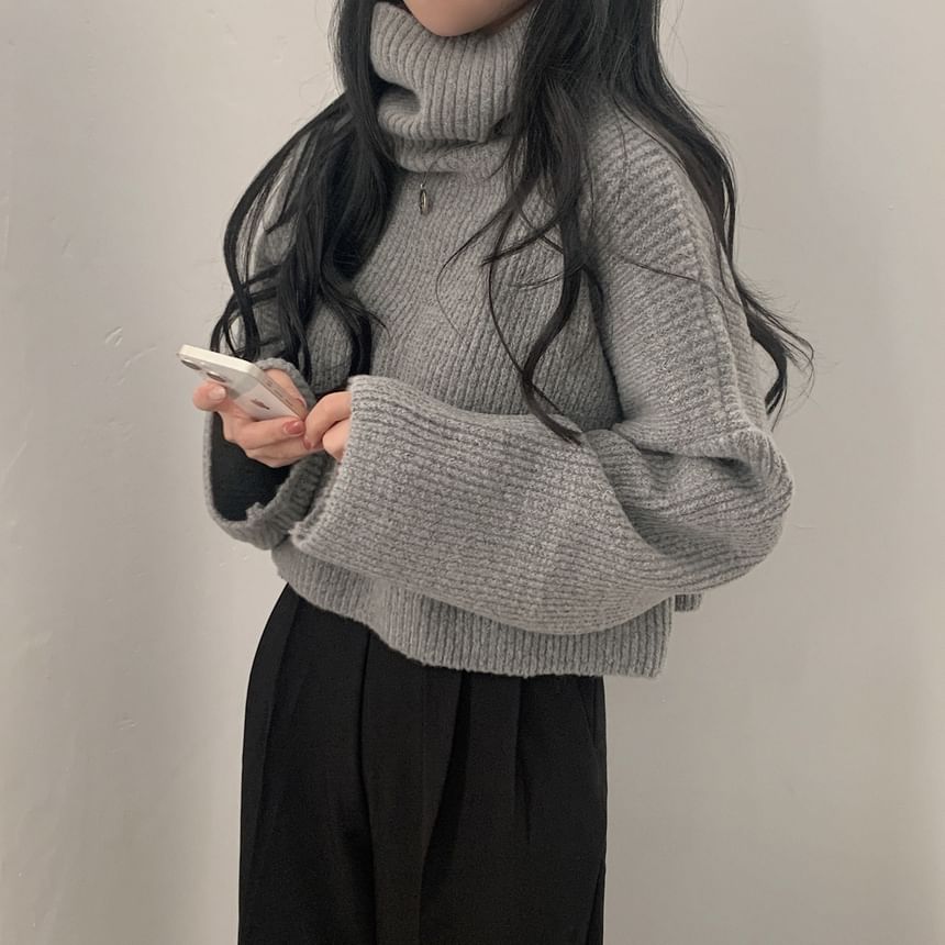 Ribbed Turtleneck Sweater in Solid Tone