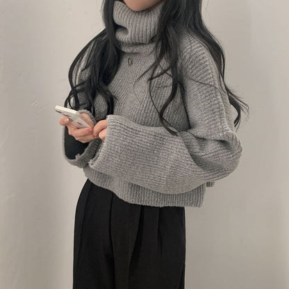 Ribbed Turtleneck Sweater in Solid Tone