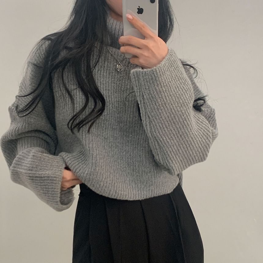 Ribbed Turtleneck Sweater in Solid Tone