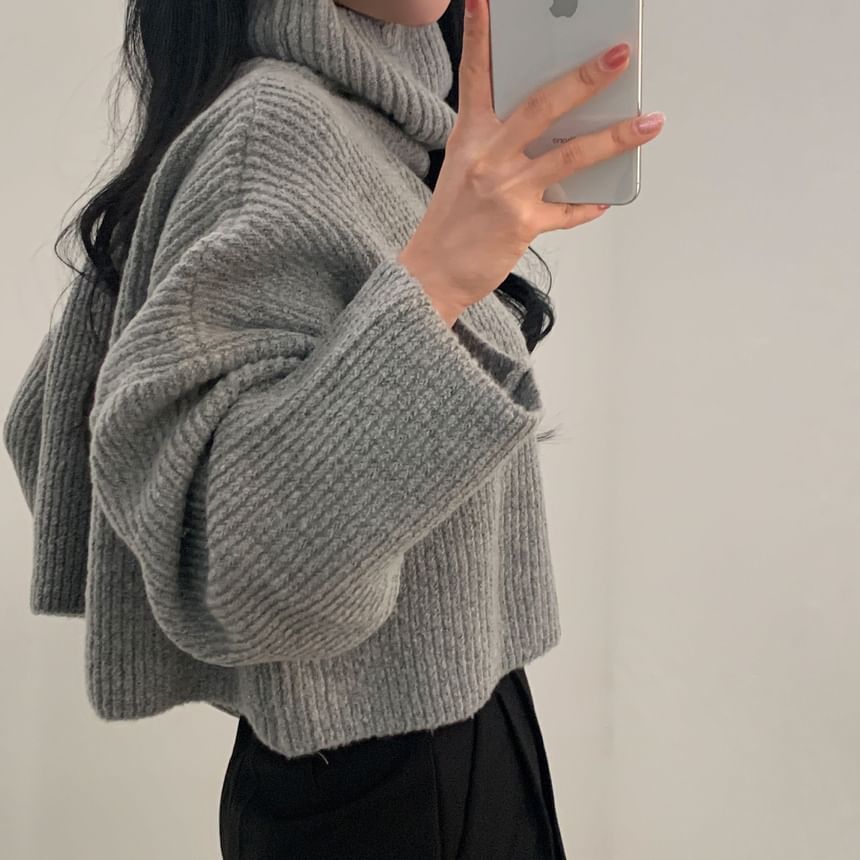 Ribbed Turtleneck Sweater in Solid Tone